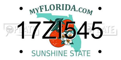 17ZI545 Florida License Plate