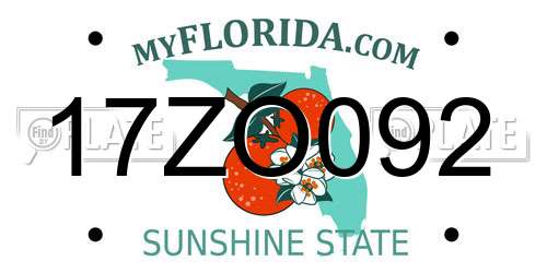 17ZO092 Florida License Plate