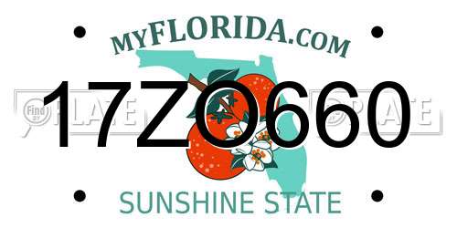 17ZO660 Florida License Plate