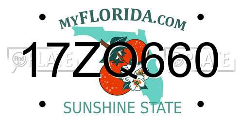 17ZQ660 Florida License Plate