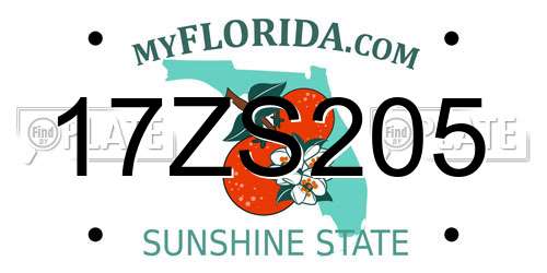 17ZS205 Florida License Plate