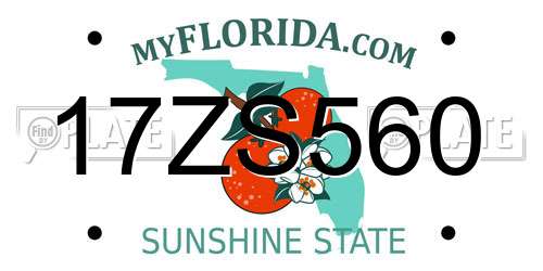 17ZS560 Florida License Plate