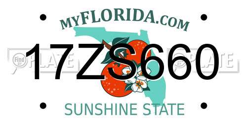 17ZS660 Florida License Plate