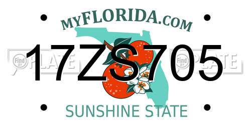 17ZS705 Florida License Plate