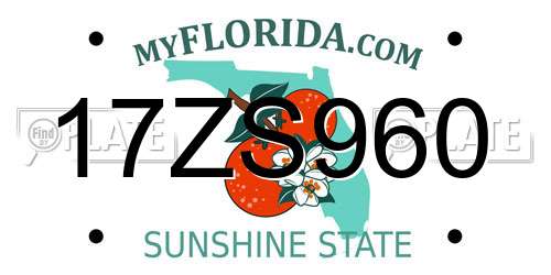 17ZS960 Florida License Plate