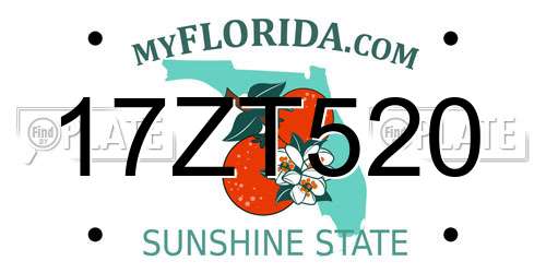 17ZT520 Florida License Plate