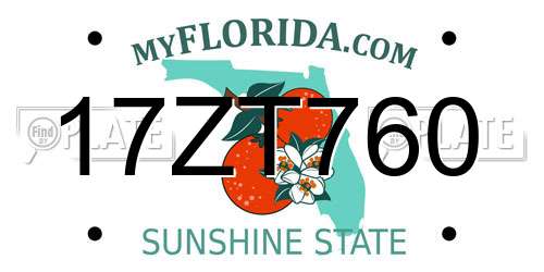 17ZT760 Florida License Plate