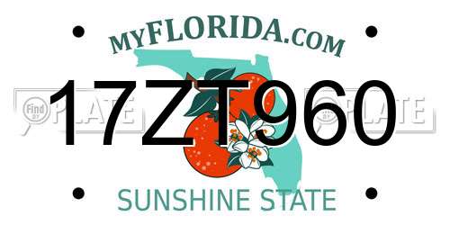 17ZT960 Florida License Plate