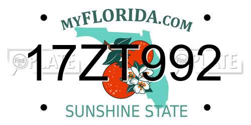 17ZT992 Florida License Plate