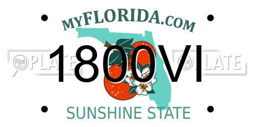 1800VI Florida License Plate