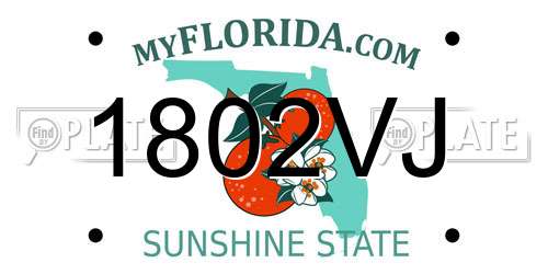 1802VJ Florida License Plate