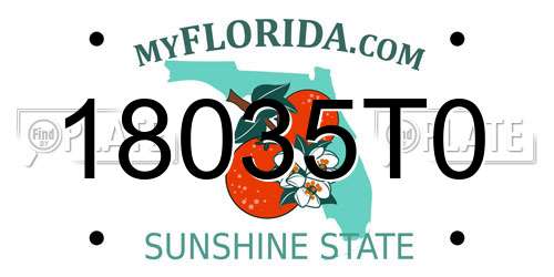 18035T0 Florida License Plate