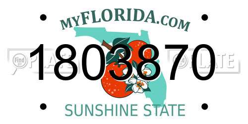 1803870 Florida License Plate