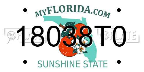 18038T0 Florida License Plate