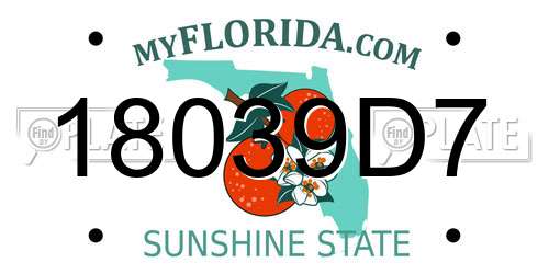 18039D7 Florida License Plate
