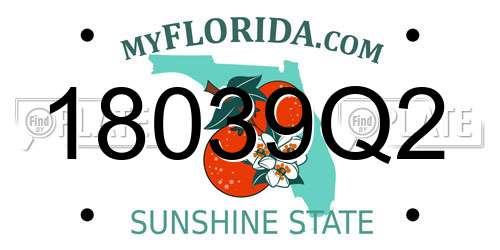18039Q2 Florida License Plate