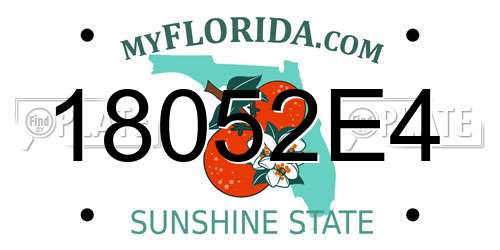 18052E4 Florida License Plate
