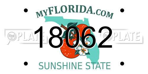 18062 Florida License Plate