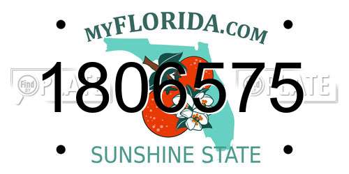 1806575 Florida License Plate
