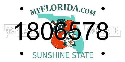 1806578 Florida License Plate