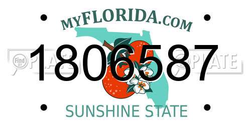 1806587 Florida License Plate
