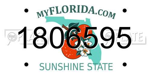 1806595 Florida License Plate