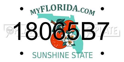 18065B7 Florida License Plate
