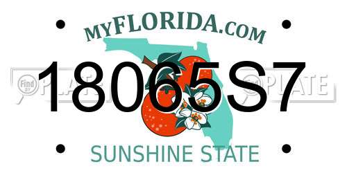 18065S7 Florida License Plate