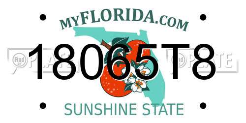 18065T8 Florida License Plate