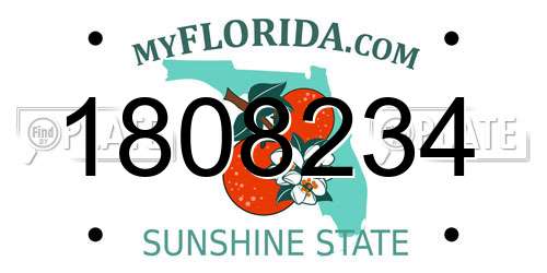1808234 Florida License Plate