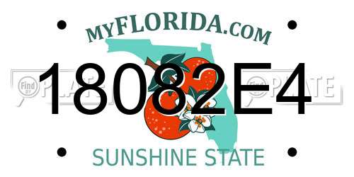 18082E4 Florida License Plate