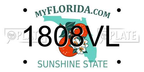 1808VL Florida License Plate