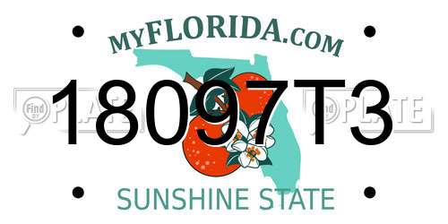18097T3 Florida License Plate