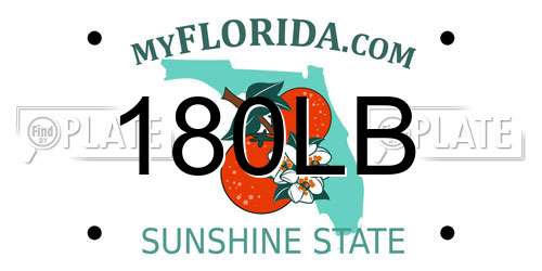 180LB Florida License Plate