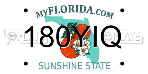 180YIQ Florida License Plate
