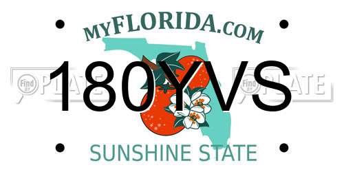 180YVS Florida License Plate
