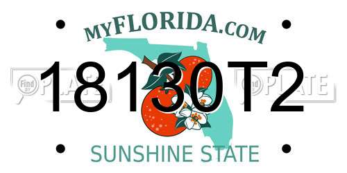 18130T2 Florida License Plate