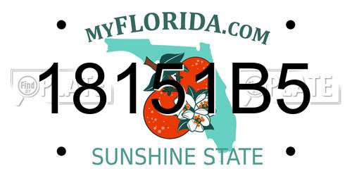 18151B5 Florida License Plate