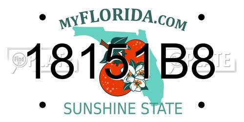 18151B8 Florida License Plate