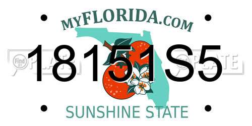 18151S5 Florida License Plate