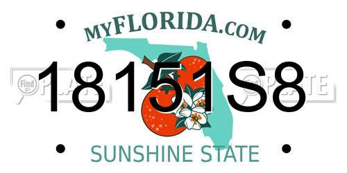 18151S8 Florida License Plate