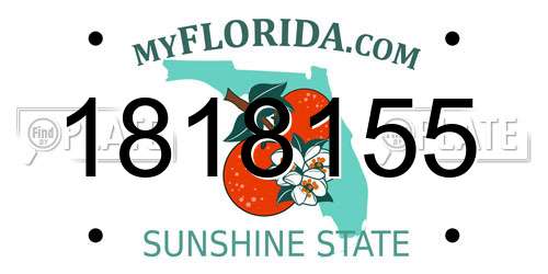 1818155 Florida License Plate