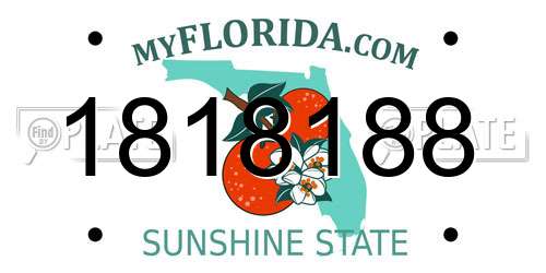 1818188 Florida License Plate
