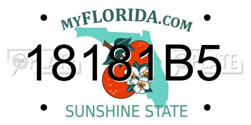 18181B5 Florida License Plate