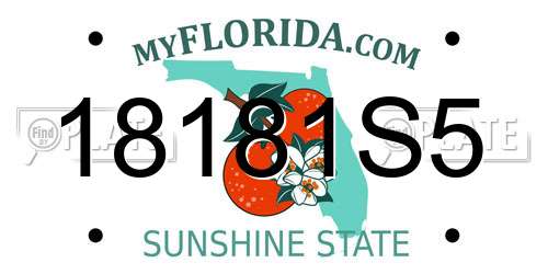 18181S5 Florida License Plate
