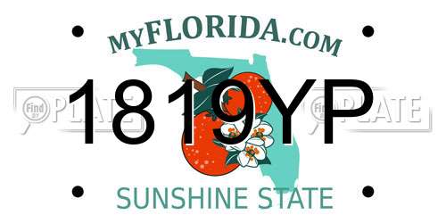 1819YP Florida License Plate