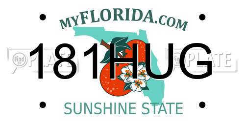 181HUG Florida License Plate