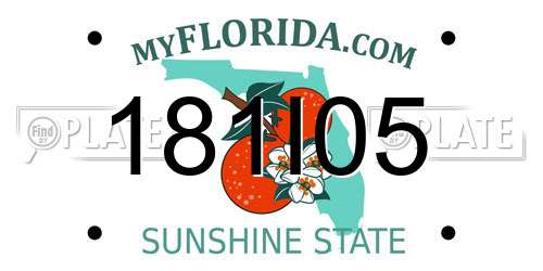 181I05 Florida License Plate
