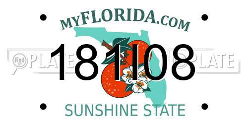 181I08 Florida License Plate