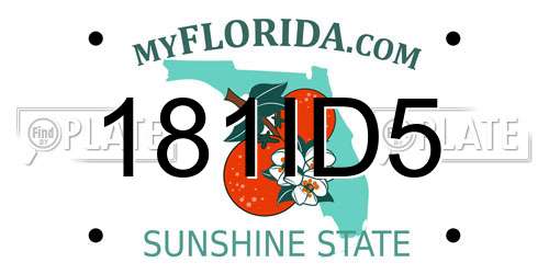 181ID5 Florida License Plate